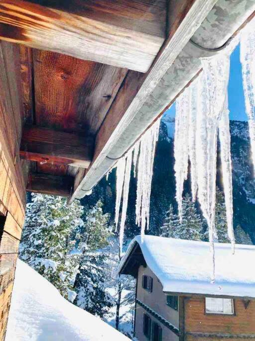Cozy Apartment In Vintage House In Kandersteg Exteriör bild
